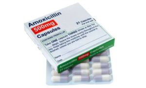 does amoxicillin help wounds heal faster